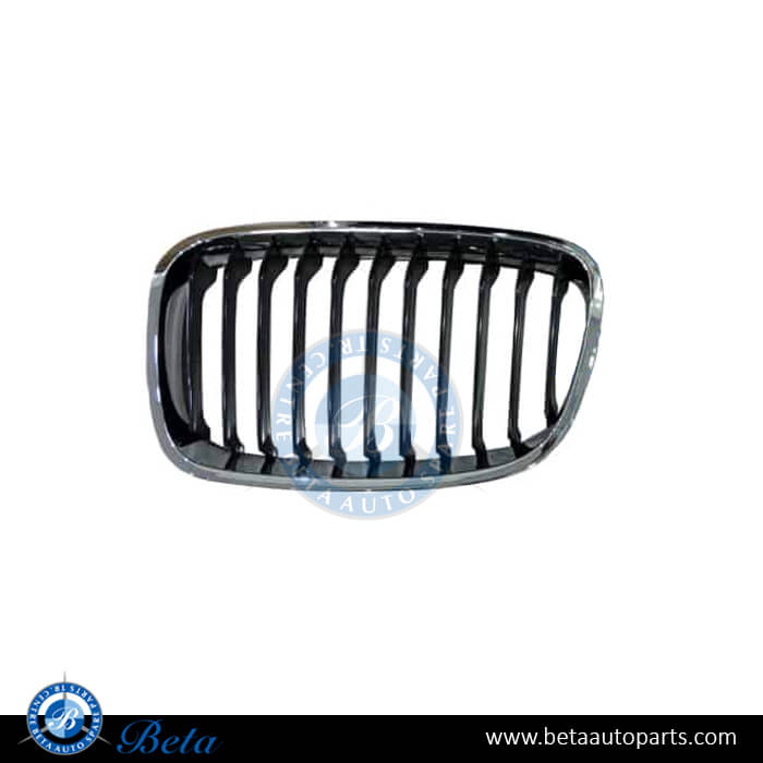 Left Side Grille - Black and Chrome for BMW 1 Series F20/F21 2012-2014 models, Part Number 51137239021 Left Side Grille - Black and Chrome for BMW 1 Series F20/F21 2012-2014 models, Part Number 51137239021